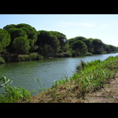 Am Kanal